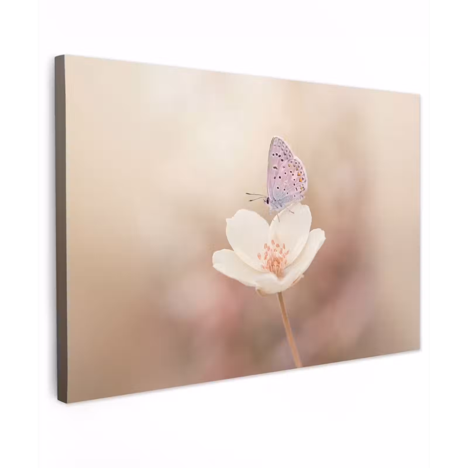 Canvas schilderij - Vlinder - Bloem - Blauw — 1