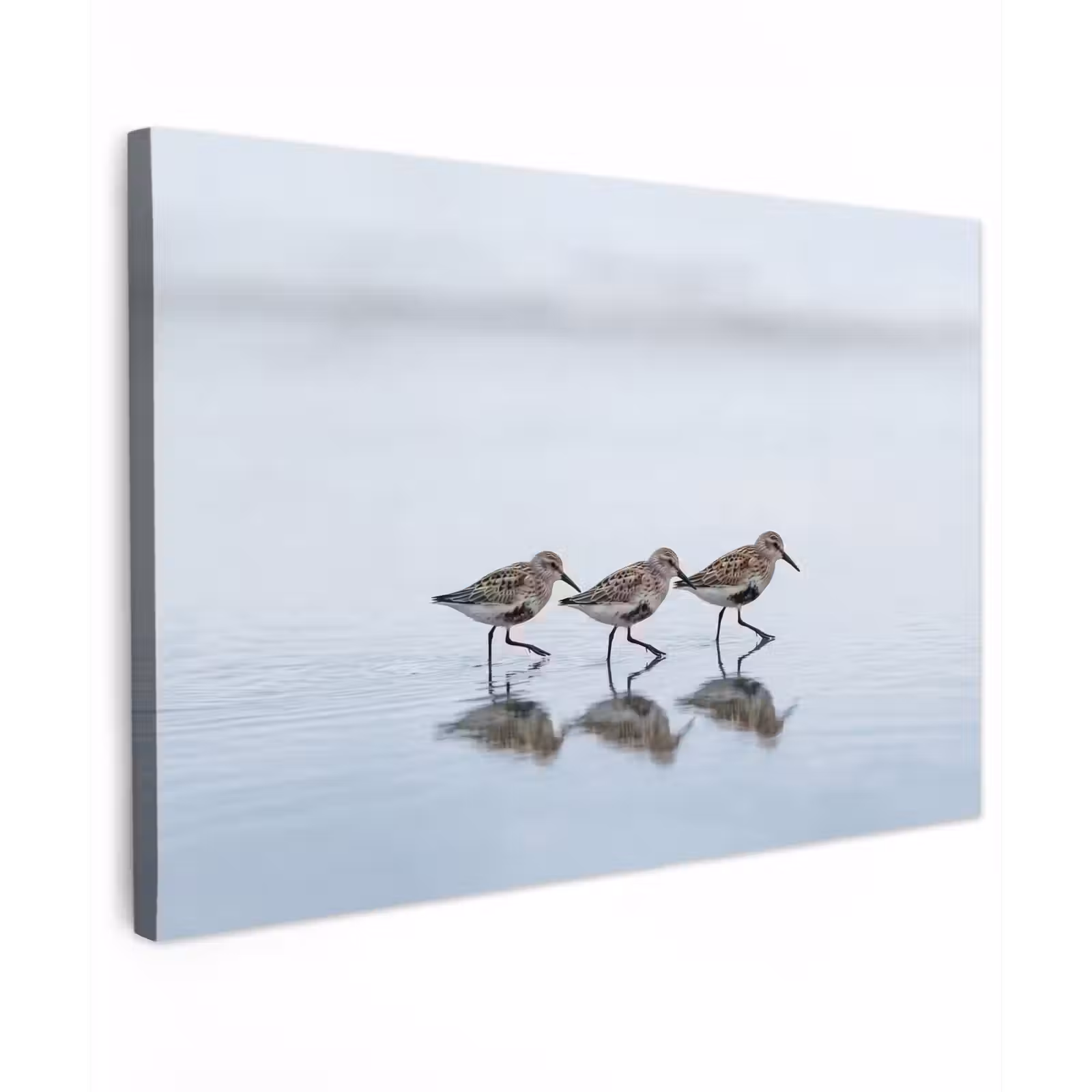Canvas schilderij - Vogels - Water - Grijs — 1
