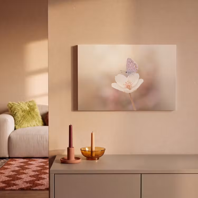 Canvas schilderij - Vlinder - Bloem - Blauw — 2