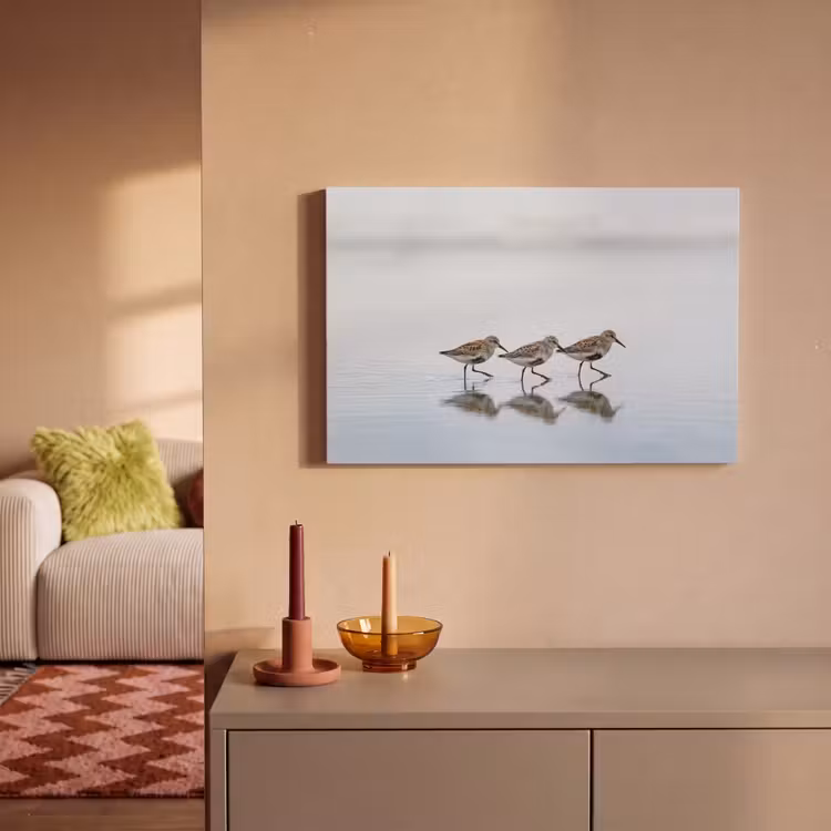 Canvas schilderij - Vogels - Water - Grijs — 2