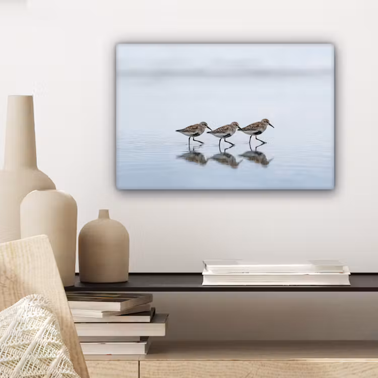 Canvas schilderij - Vogels - Water - Grijs — 5