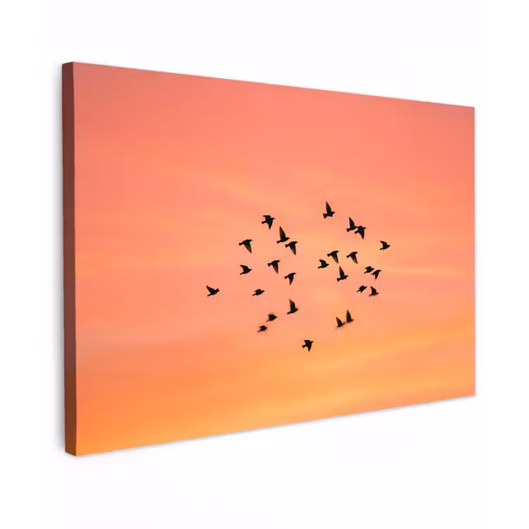 Canvas schilderij - Zwerm - Vogels - Oranje — 1