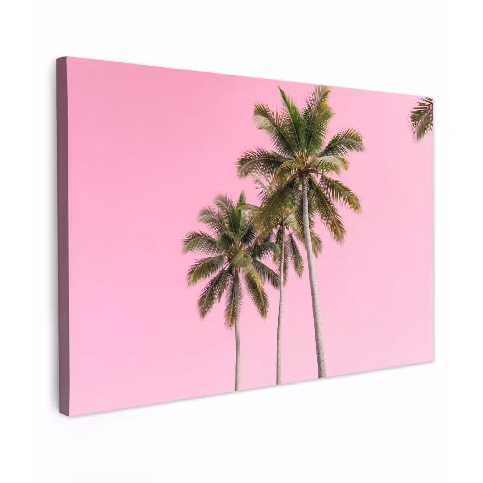 Canvas schilderij - Palmboom - Tropisch - Pink — 1