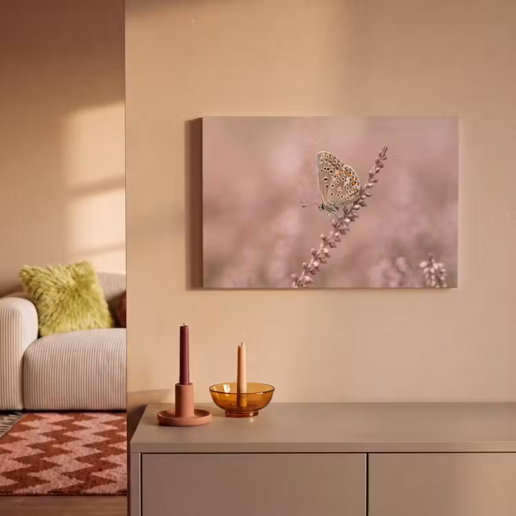 Canvas schilderij - Lavendel - Vlinder - Paars — 2