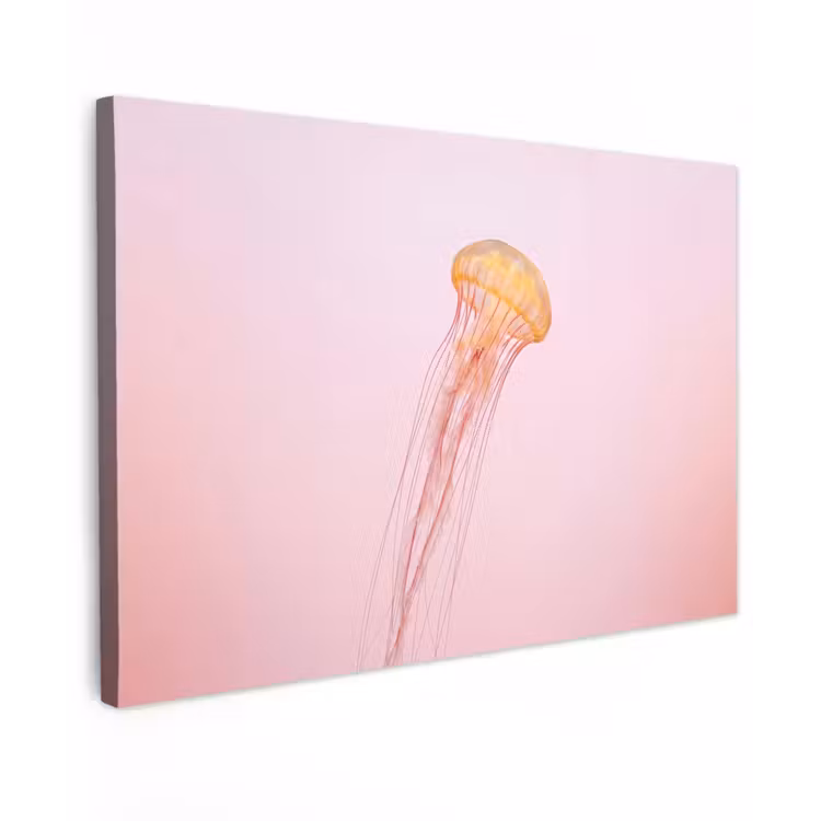 Canvas schilderij - Sierlijk - Kwal - Roze — 1