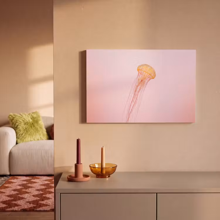 Canvas schilderij - Sierlijk - Kwal - Roze — 2