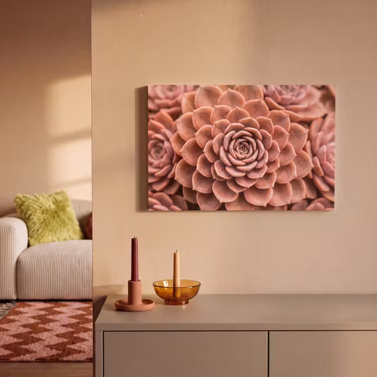 Canvas schilderij - Vetplant - Organisch - Roze — 2