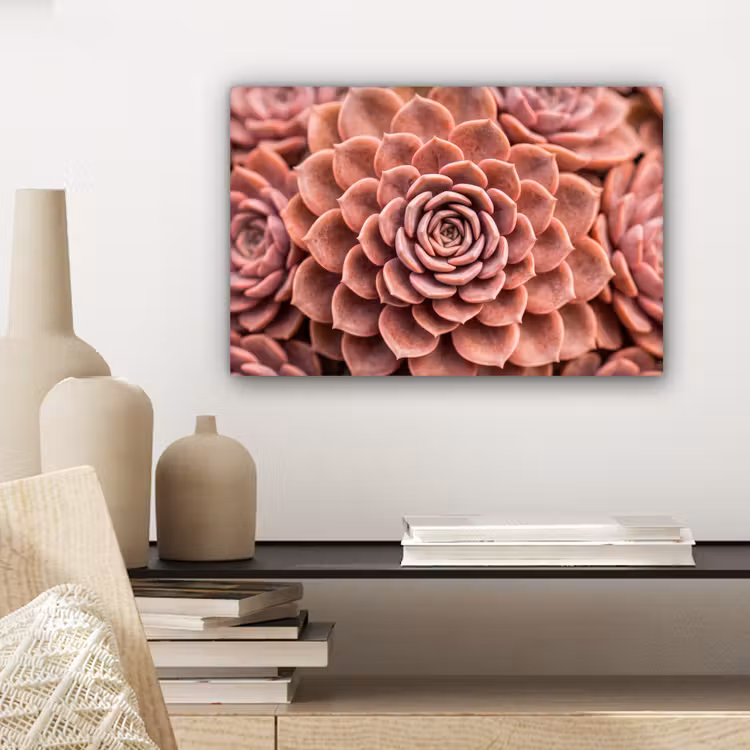 Canvas schilderij - Vetplant - Organisch - Roze — 5