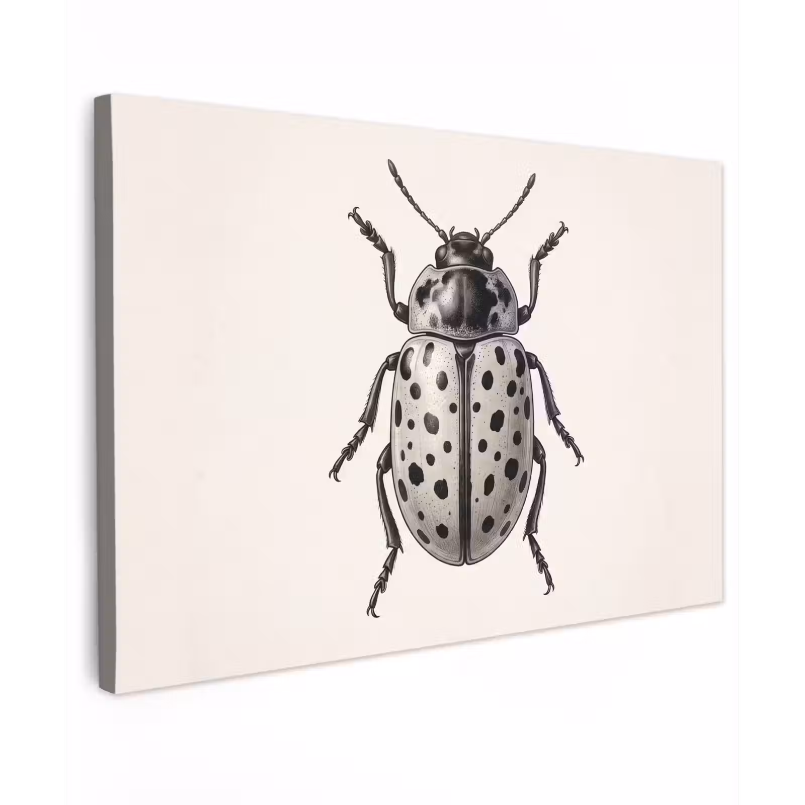 Canvas schilderij - Kever - Insect - Vintage — 1