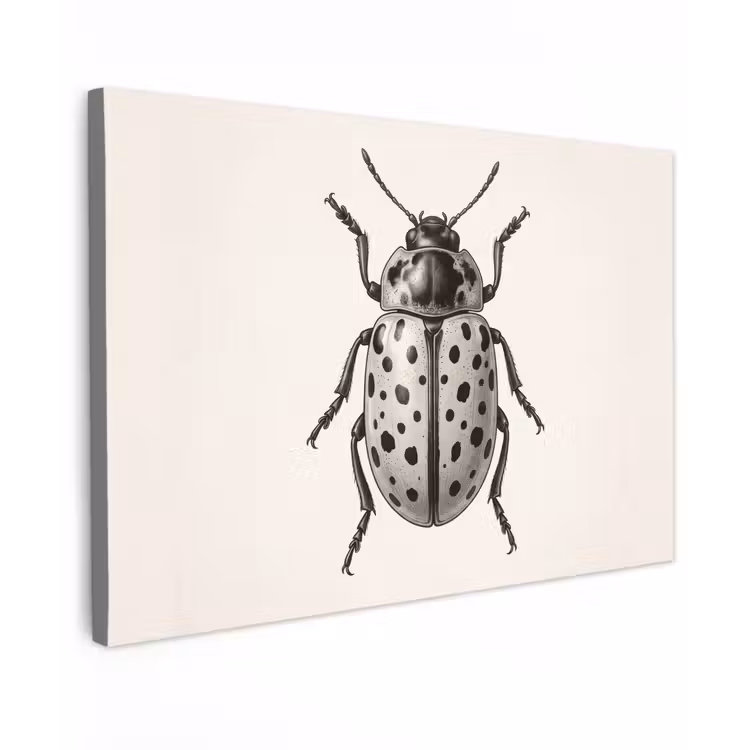 Canvas schilderij - Kever - Insect - Vintage — 1