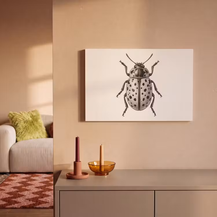 Canvas schilderij - Kever - Insect - Vintage — 2