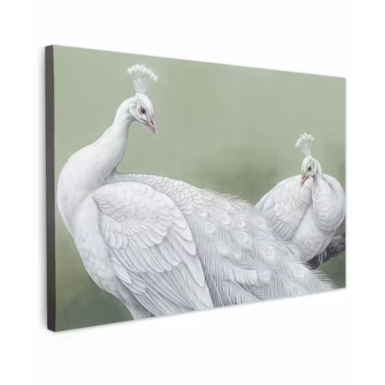 Canvas schilderij - Pauwen - Wit - Natuur - Groen — 1