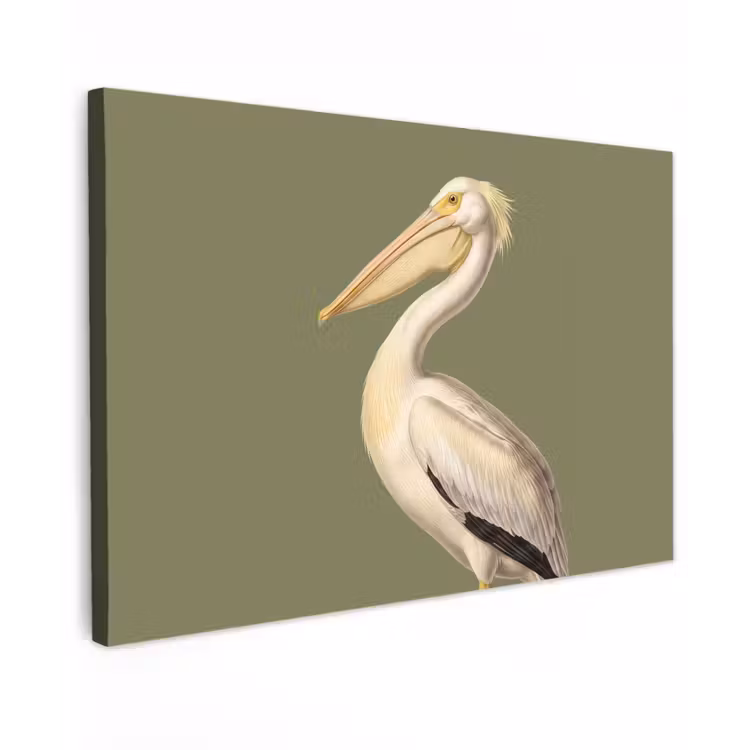 Canvas schilderij - Pelikaan - Wit - Vogel - Klassiek - Natuur — 1