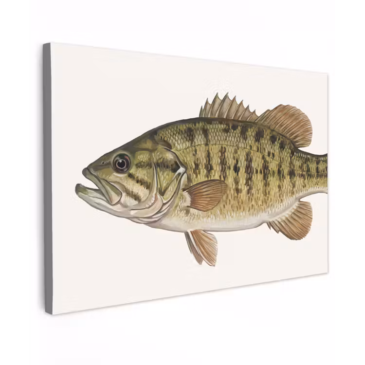 Canvas schilderij - Vissen - Natuur - Vintage — 1