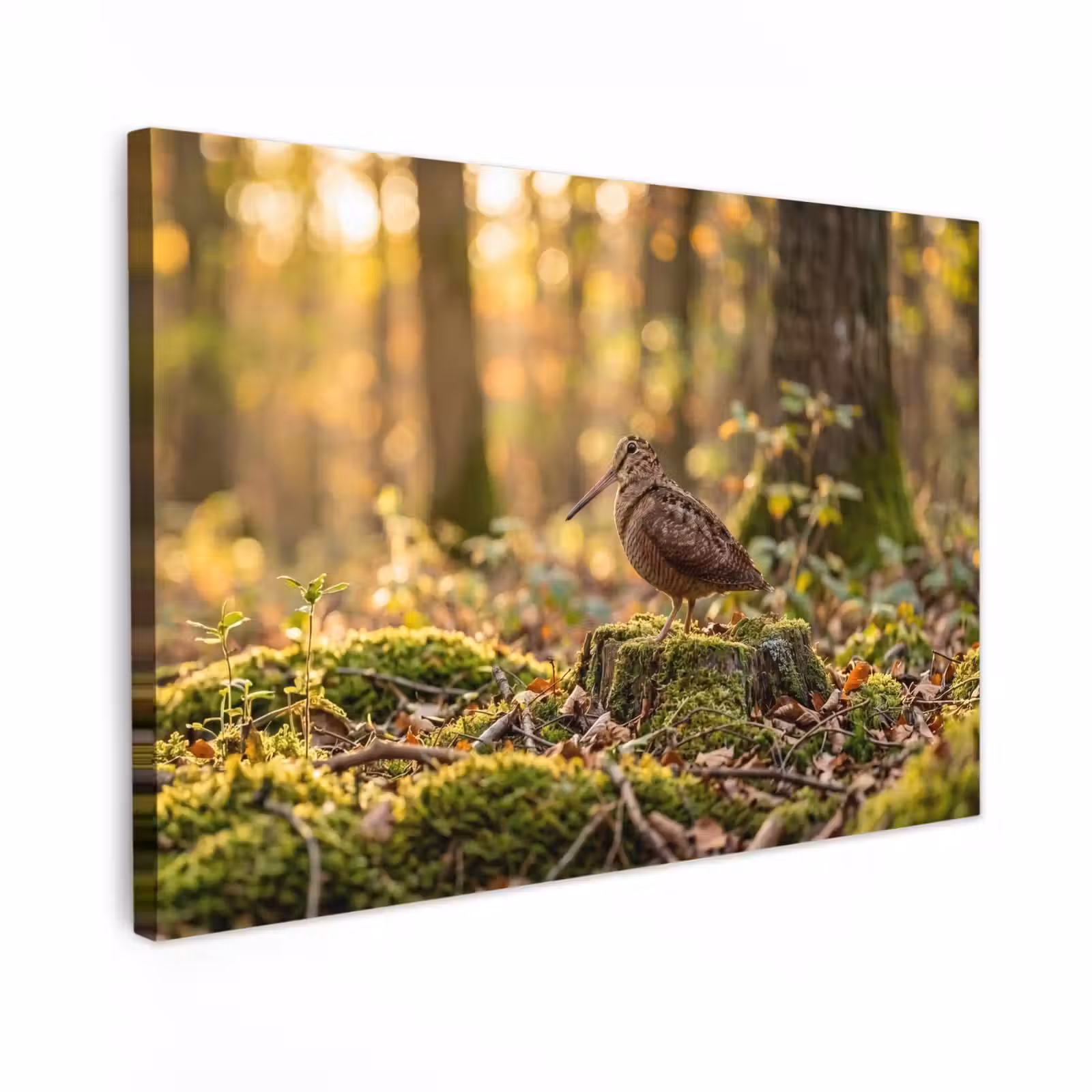 Canvas schilderij - Houtsnip - Bos - Bladeren - Herfst - Gecamoufleerd — 1