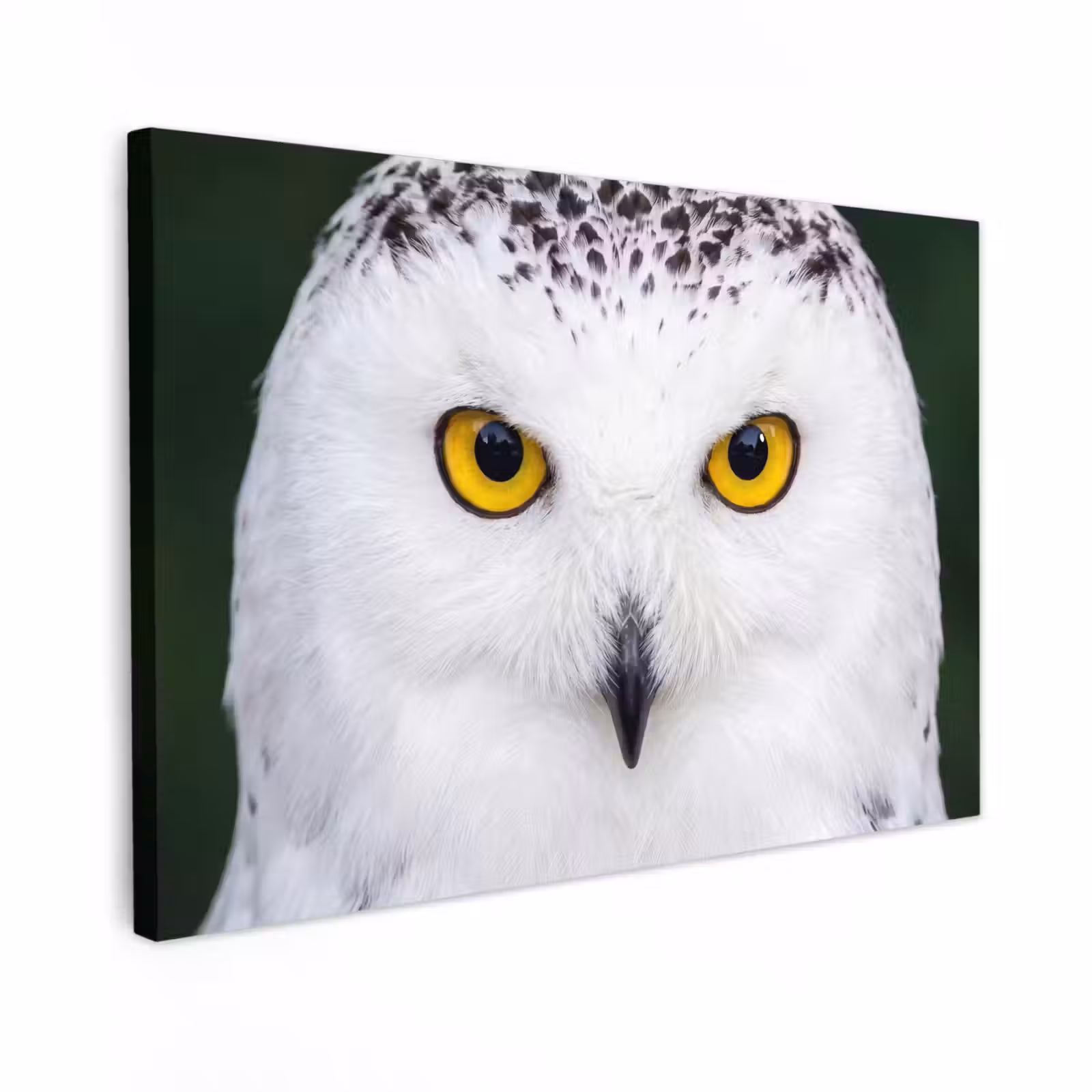 Canvas schilderij - Sneeuwuil - Portret - Geel — 1