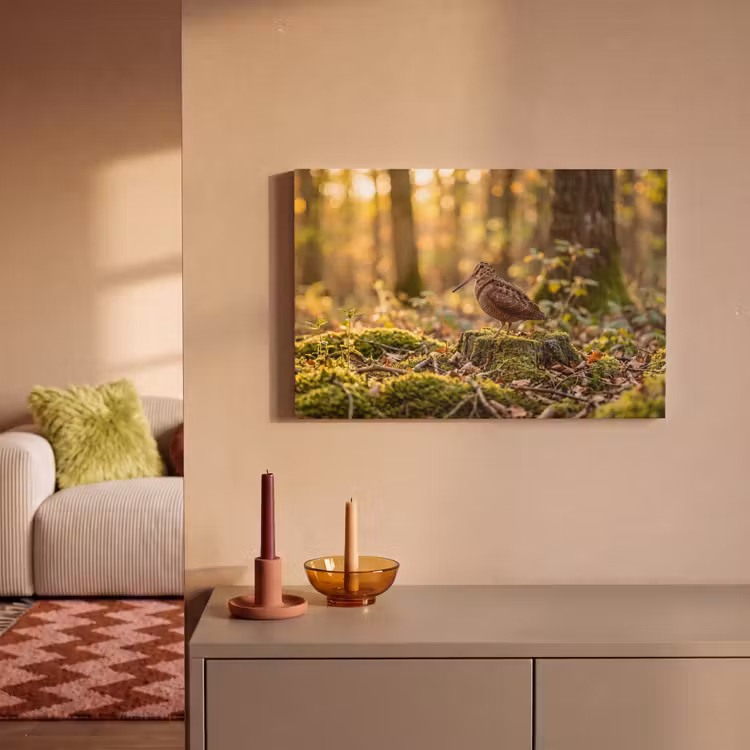Canvas schilderij - Houtsnip - Bos - Bladeren - Herfst - Gecamoufleerd — 2