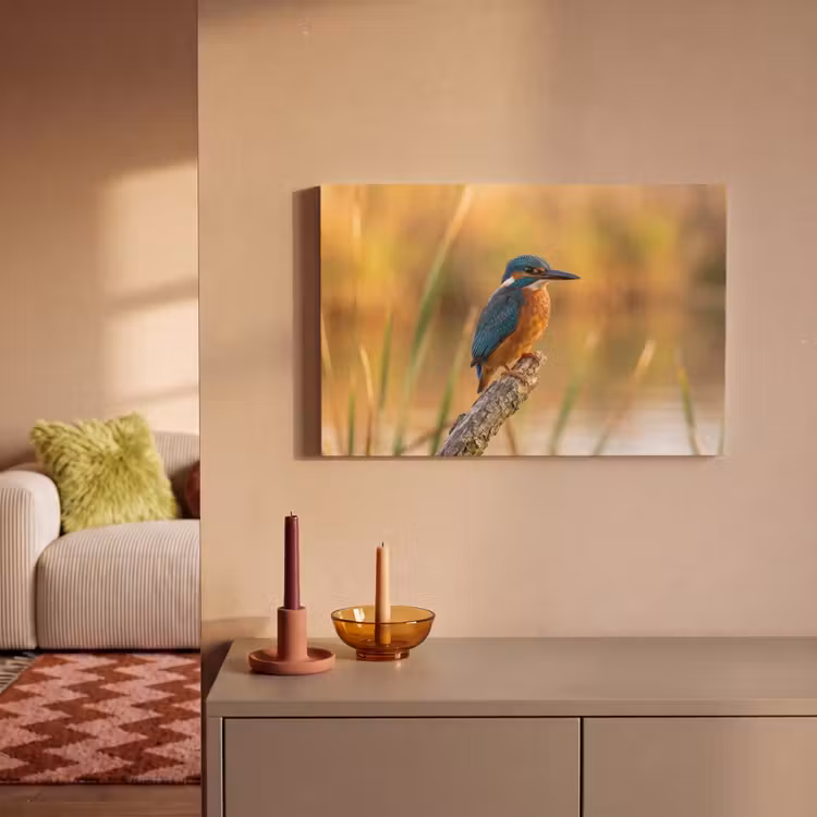 Canvas schilderij - IJsvogel - Tak - Water - Kleurrijk - Levendig — 2