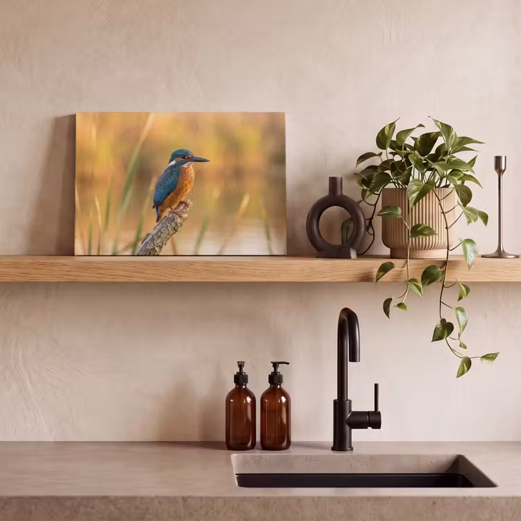 Canvas schilderij - IJsvogel - Tak - Water - Kleurrijk - Levendig — 3