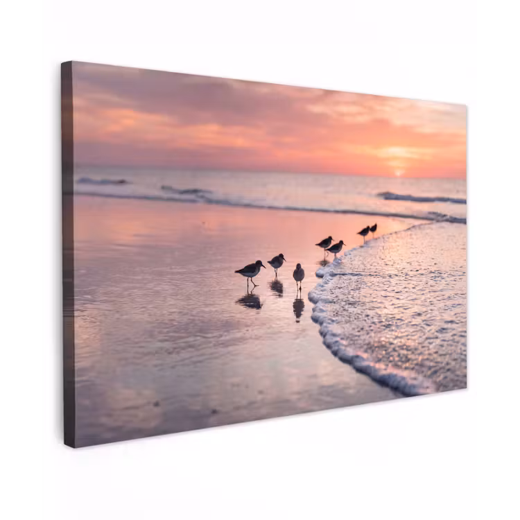Canvas schilderij - Meeuwen - Strand - Zee - Roze — 1