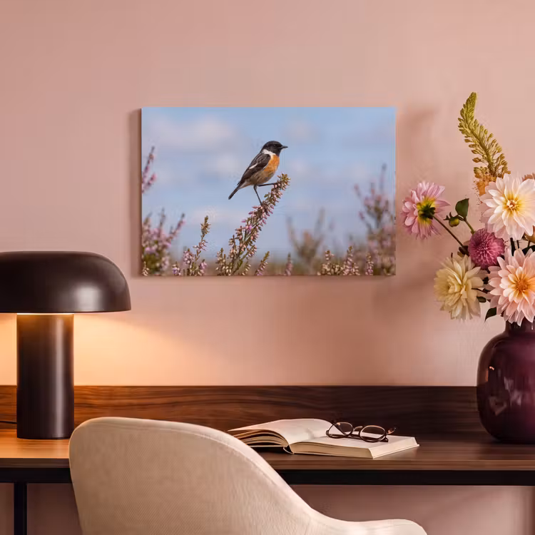 Canvas schilderij - Roodborsttapuit - Heide - Paars - Natuur - Sfeervol — 4