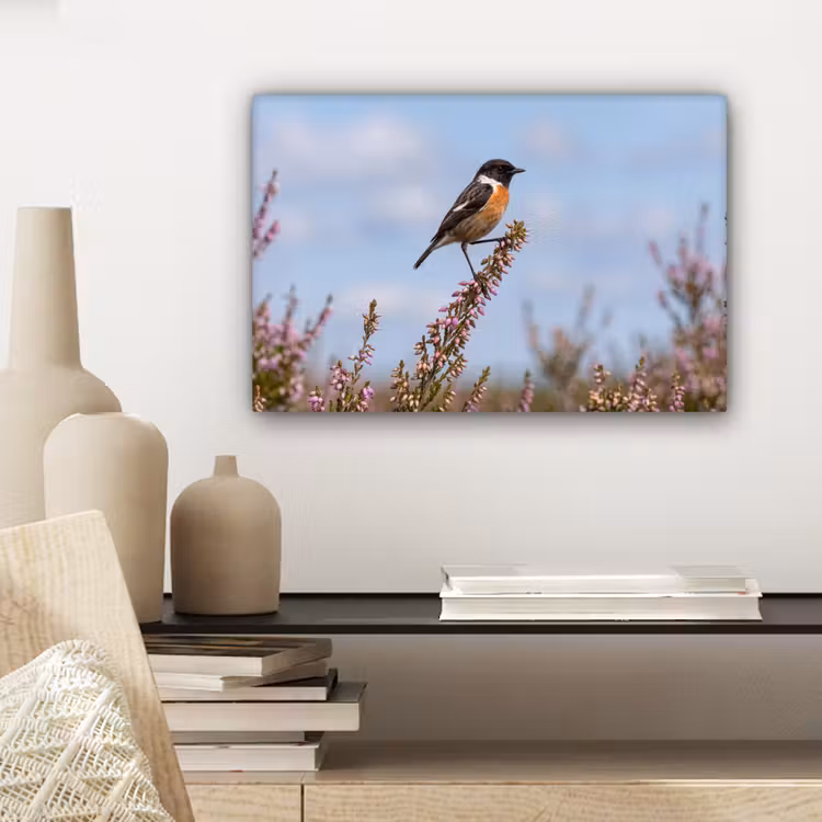 Canvas schilderij - Roodborsttapuit - Heide - Paars - Natuur - Sfeervol — 5