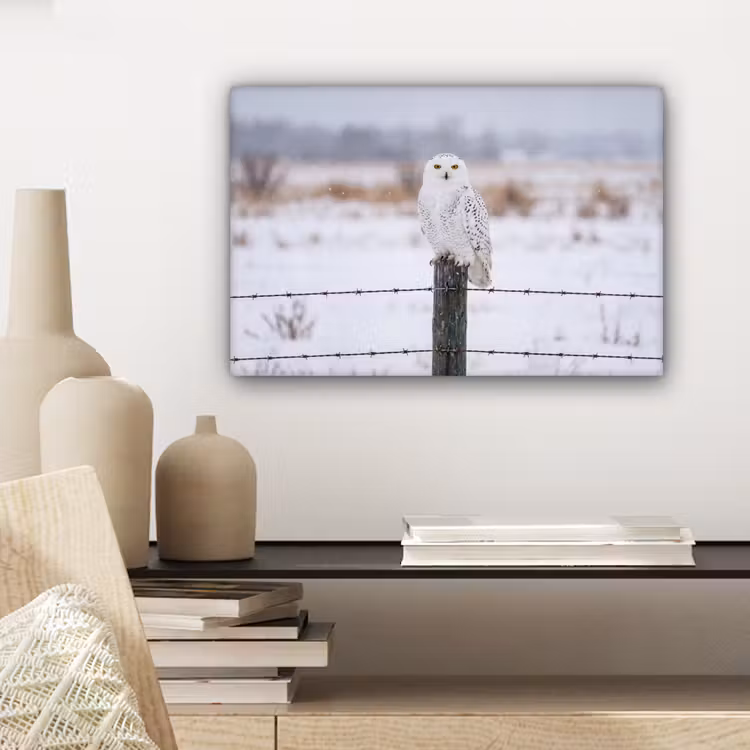 Canvas schilderij - Sneeuwuil - Hek - Sneeuw - Wit — 5