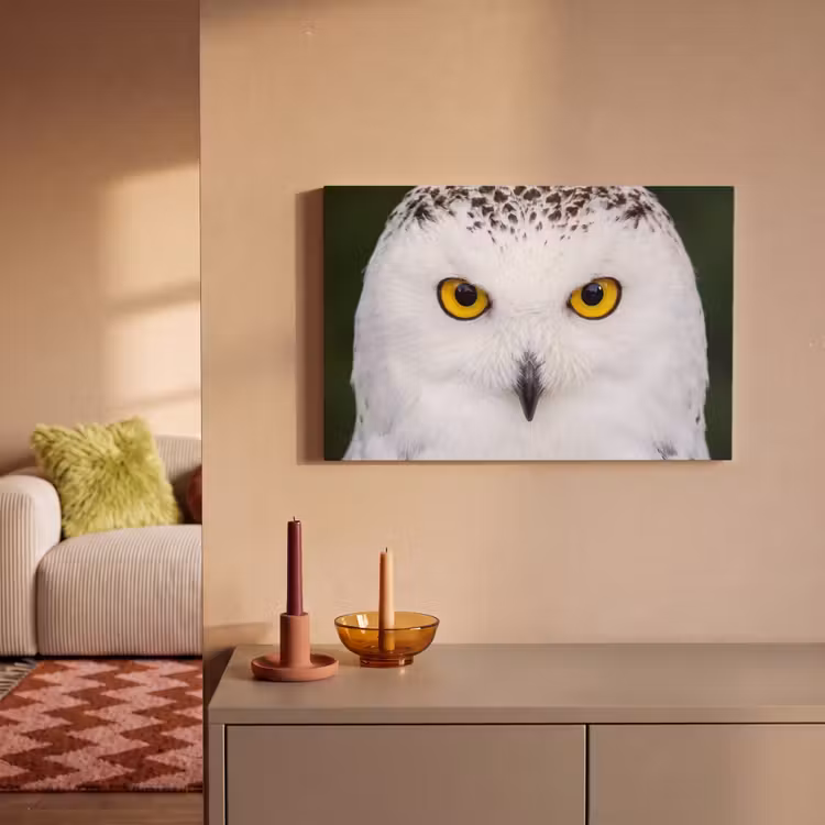 Canvas schilderij - Sneeuwuil - Portret - Geel — 2