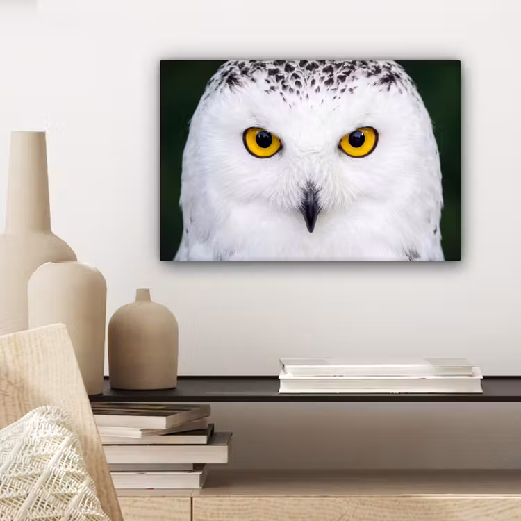 Canvas schilderij - Sneeuwuil - Portret - Geel — 5