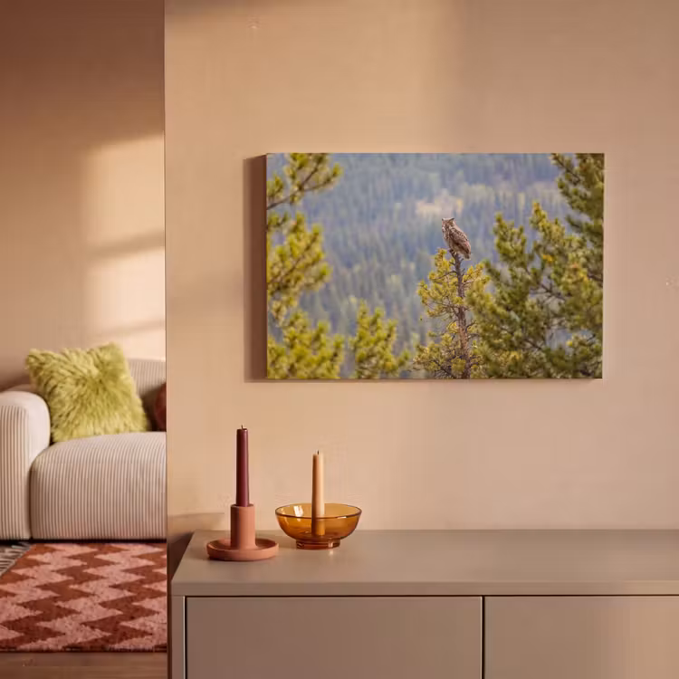 Canvas schilderij - Uil - Oehoe - Bomen - Natuur — 2