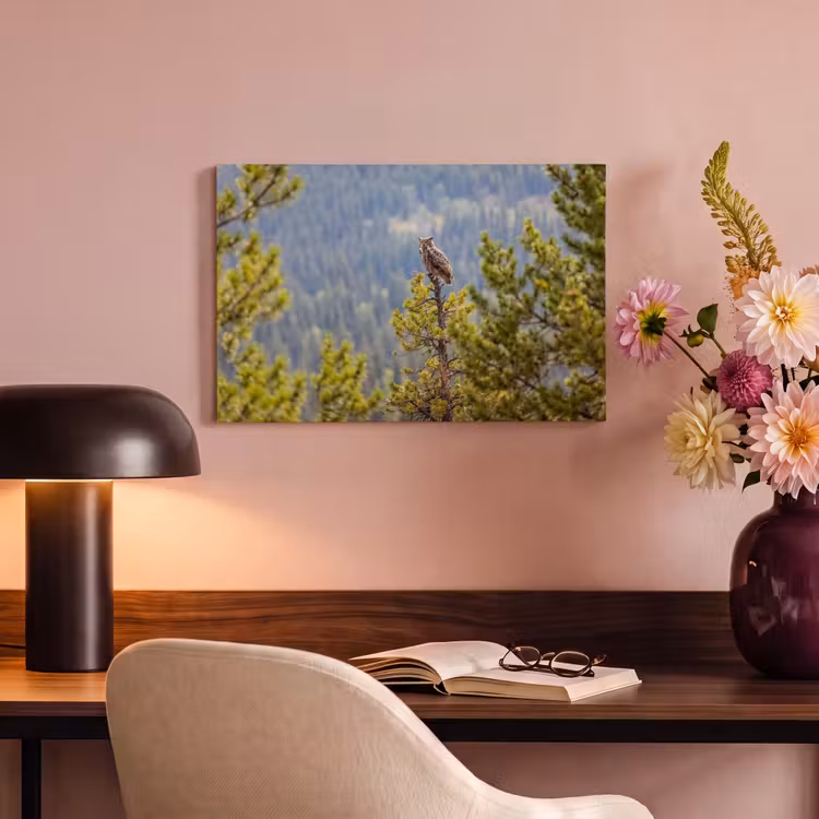 Canvas schilderij - Uil - Oehoe - Bomen - Natuur — 4