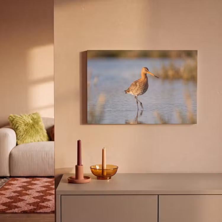 Canvas schilderij - Vogel - Steltloper - Water - Natuur — 2