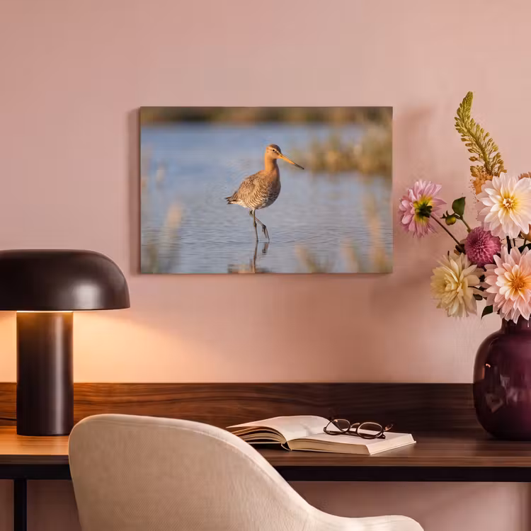 Canvas schilderij - Vogel - Steltloper - Water - Natuur — 4
