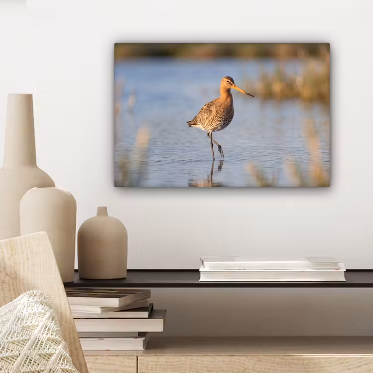 Canvas schilderij - Vogel - Steltloper - Water - Natuur — 5