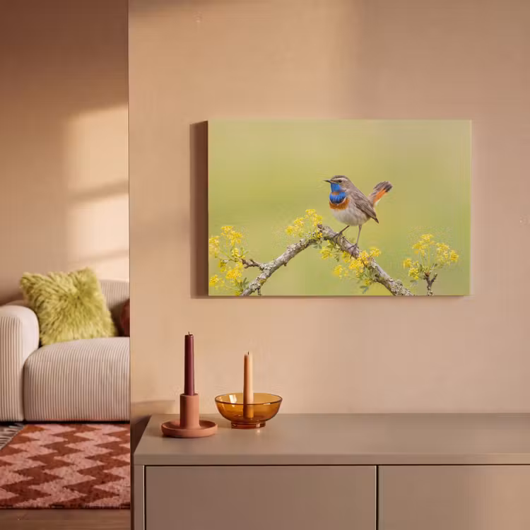 Canvas schilderij - Vogel - Tak - Natuur - Kleurrijk — 2