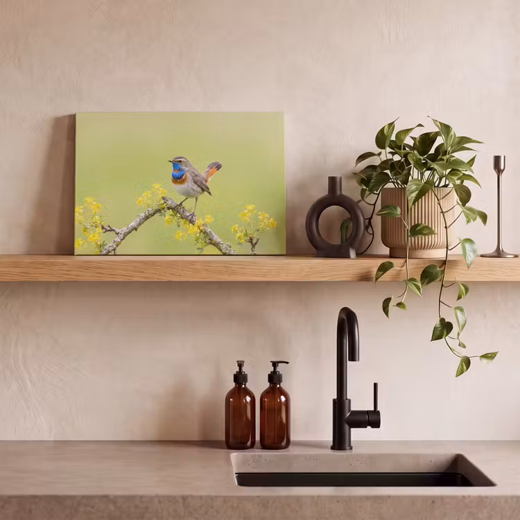 Canvas schilderij - Vogel - Tak - Natuur - Kleurrijk — 3