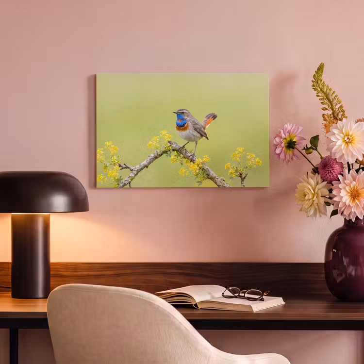 Canvas schilderij - Vogel - Tak - Natuur - Kleurrijk — 4