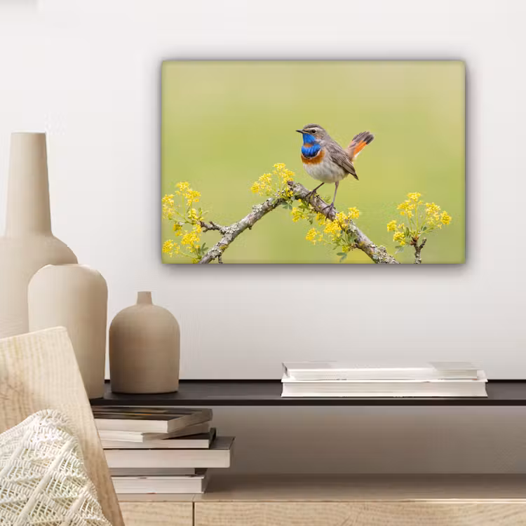 Canvas schilderij - Vogel - Tak - Natuur - Kleurrijk — 5