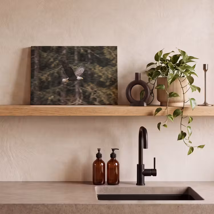 Canvas schilderij - Zeearend - Vliegen - Bos - Natuur — 3