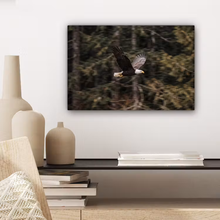 Canvas schilderij - Zeearend - Vliegen - Bos - Natuur — 5