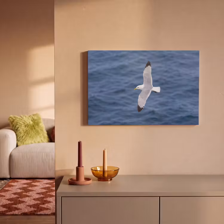 Canvas schilderij - Zeemeeuw - Oceaan - Blauw — 2