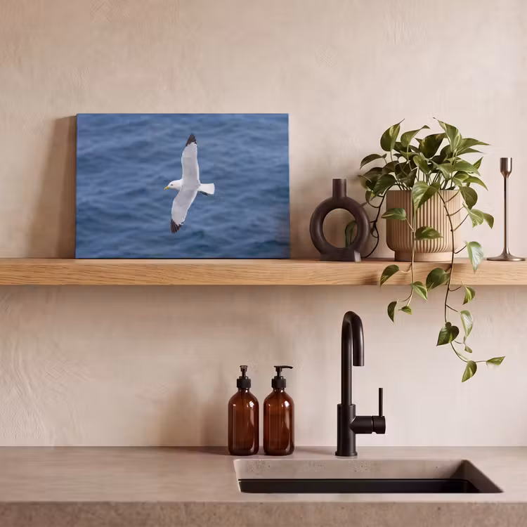 Canvas schilderij - Zeemeeuw - Oceaan - Blauw — 3