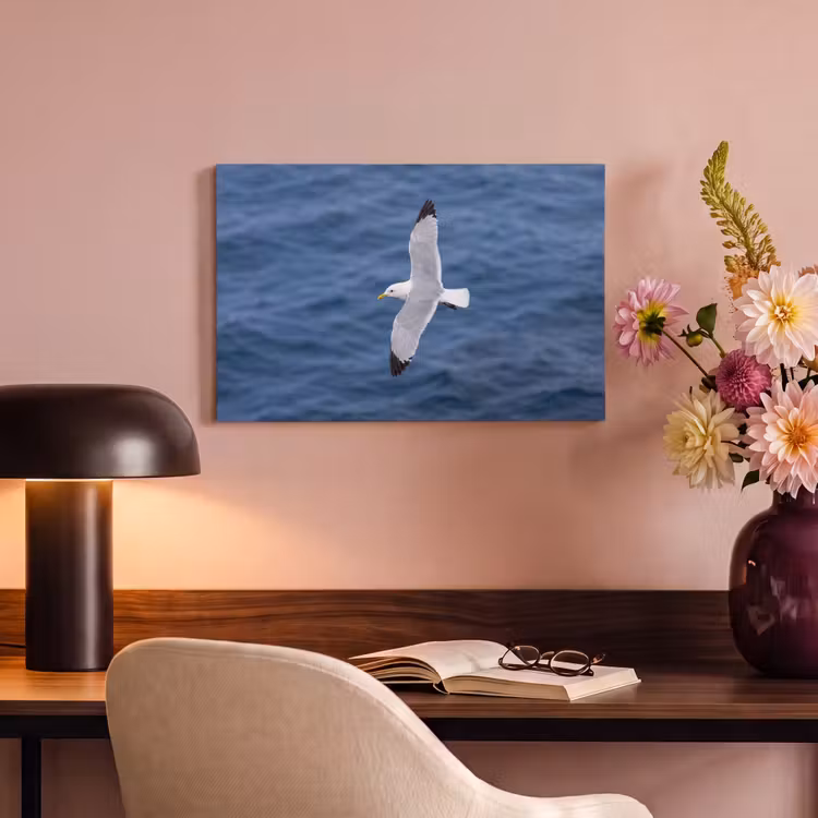 Canvas schilderij - Zeemeeuw - Oceaan - Blauw — 4