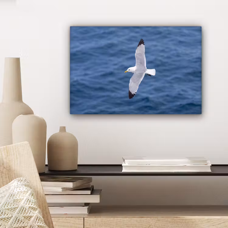 Canvas schilderij - Zeemeeuw - Oceaan - Blauw — 5