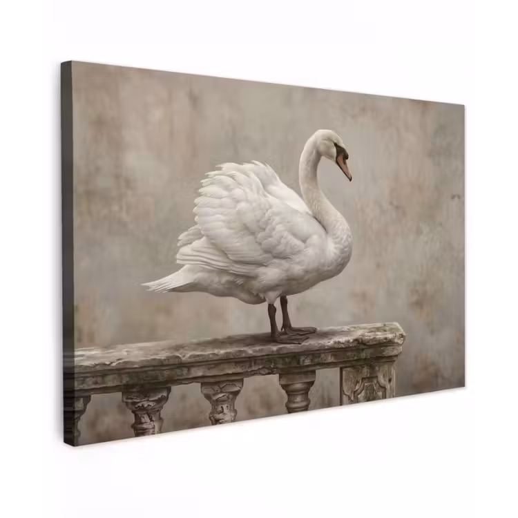 Canvas schilderij - Zwaan - Elegant - Dieren - Wit — 1