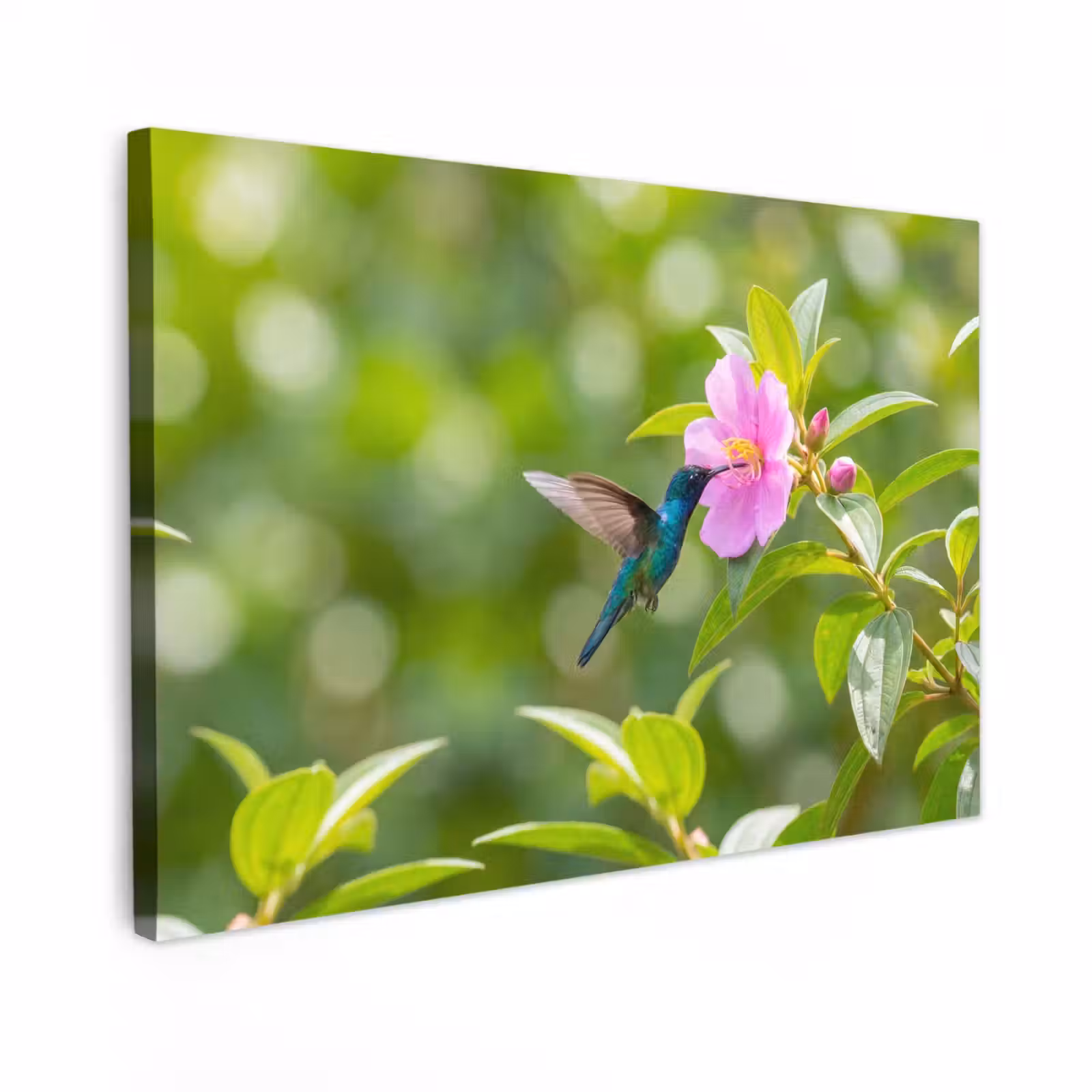 Canvas schilderij - Kolibrie - Bloem - Natuur - Groen — 1