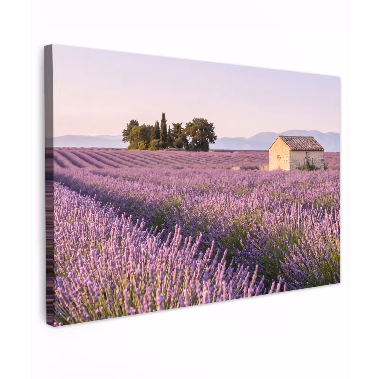 Canvas schilderij - Lavendel - Landschap - Sereen - Paars — 1