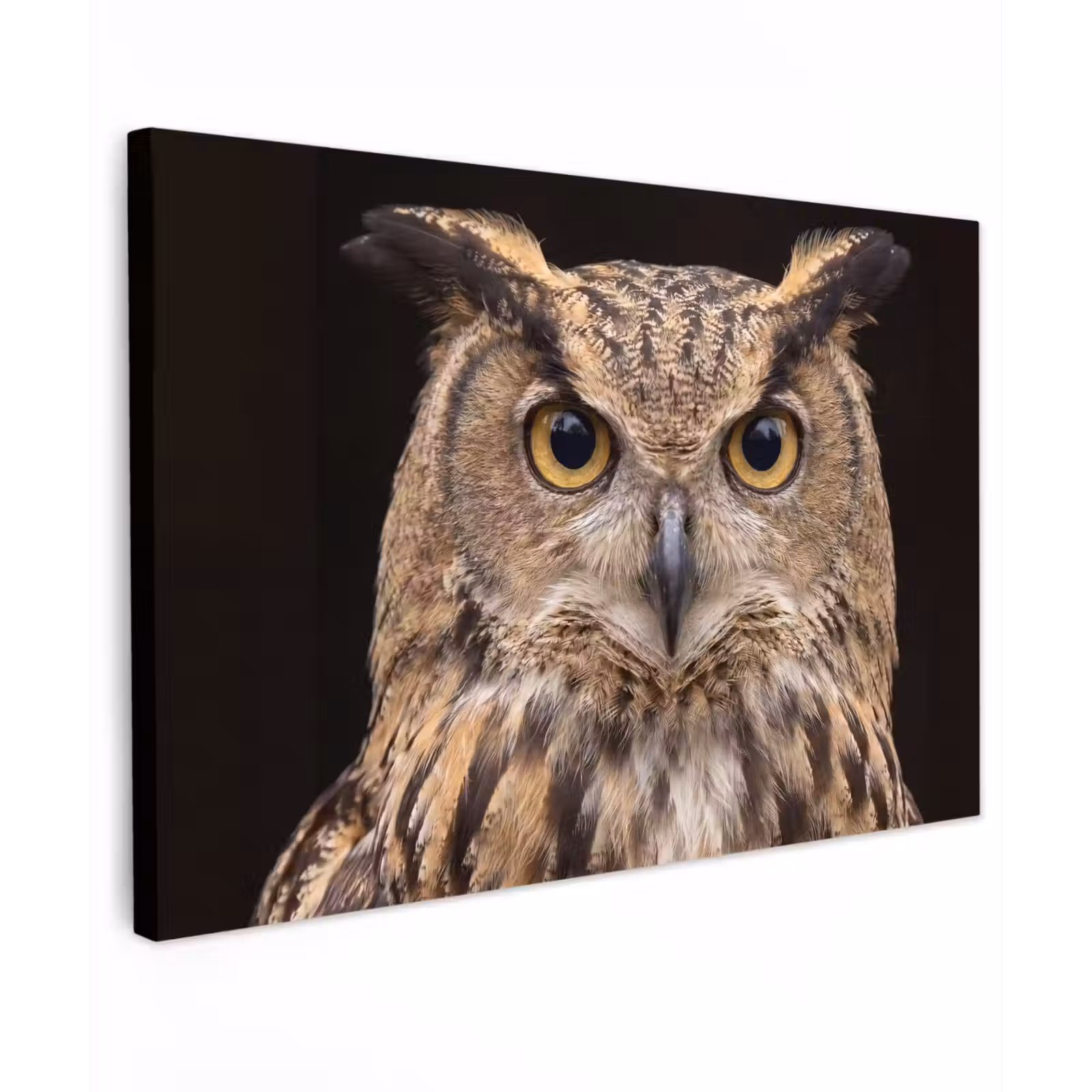 Canvas schilderij - Oehoe - Uil - Portret - Bruin — 1