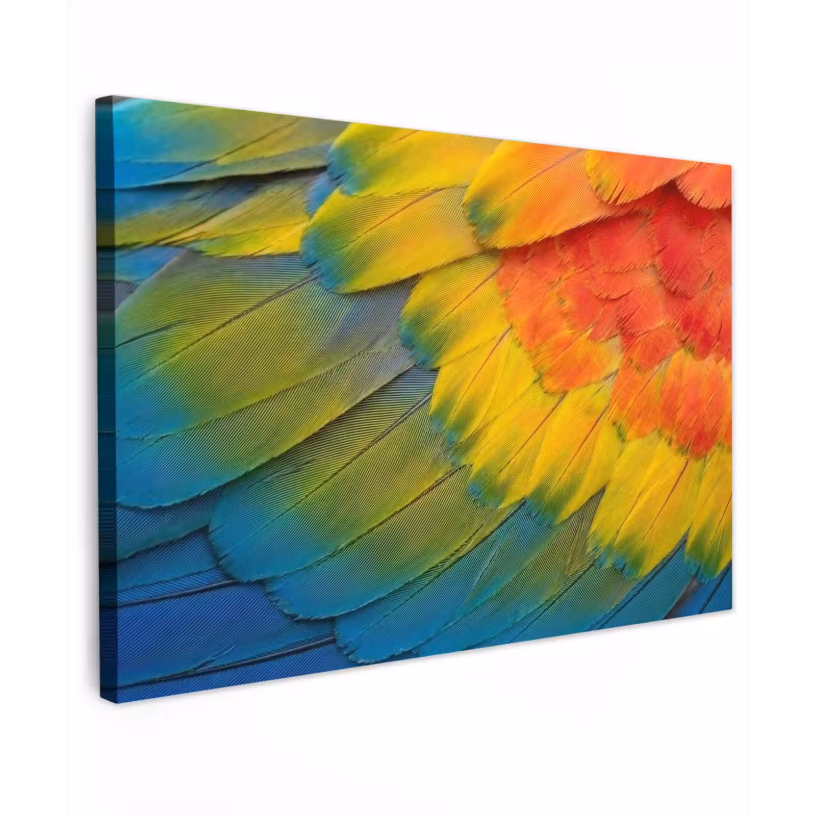 Canvas schilderij - Veren - Ara - Kleurrijk — 1