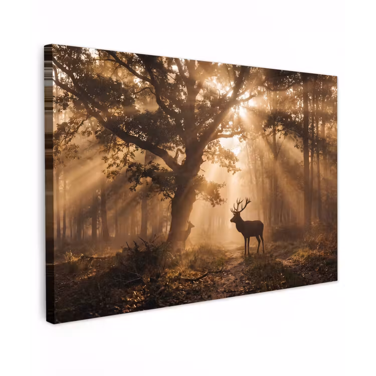 Canvas schilderij - Hert - Bos - Mistig - Natuur - Goud — 1